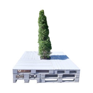 Paletten-Insel mit Thuja 1